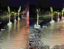 Janji Tak Ditepati, Masyarakat Sidrap Menanam Pohon Pisang di Jalanan Berlubang
