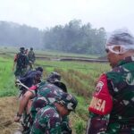 Gambar berita Fakta1