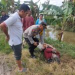 Gambar berita Fakta1