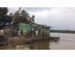 Dampak Aktivitas Tambang Nikel di Desa Morosi, Kerusakan Garis Pantai Akibat Abrasi di Desa Muara Sampara Semakin Parah