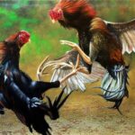 Gambar berita Fakta1