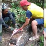 Gambar berita Fakta1