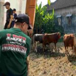 Gambar berita Fakta1
