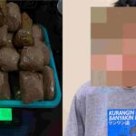 Gambar berita Fakta1