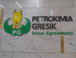 Selain Tidak Dapat BPJS dan di Upah Minimum, Buruh Outsourcing di PT Petrokimia Gresik Cuma Dapat THR Segini