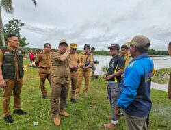 Wujud Peduli, Pejabat Bupati Konawe Kembali Tinjau Lokasi Abrasi Pantai Desa Muara Sampara