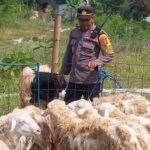 Gambar berita Fakta1