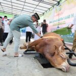 Gambar berita Fakta1