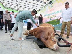 Wujud Nyata dari Kepedulian, Polda Sulsel Sumbang 871 Ekor Sapi dan 20 Ekor Kambing