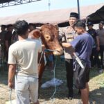 Gambar berita Fakta1