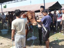 Polresta Sidoarjo Salurkan Hewan Kurban 21 ekor Sapi dan 55 ekor Kambing ke Masyarakat