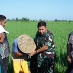 Gambar berita Fakta1