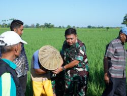 Dukung Hanpangan Nasional, Pangdam XIV/Hsn Tinjau Lokasi Pompanisasi Sawah Tadah Hujan di Pangkep