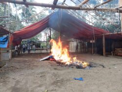 Tegas Perangi Perjudian, Polisi Luluh Lantakkan Dua Lokasi Sabung Ayam di Malang