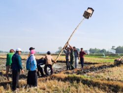 Tekan Hama Tikus, Babinsa Koramil Kalitidu Bojonegoro bantu Petani Pasang Rubuha
