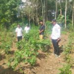 Gambar berita Fakta1