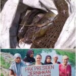 Gambar berita Fakta1