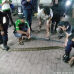 Gambar berita Fakta1