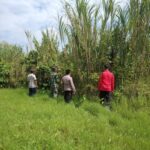 Gambar berita Fakta1