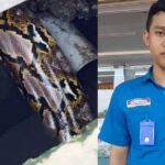 Gambar berita Fakta1