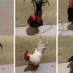 Gambar berita Fakta1