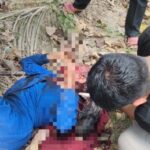 Gambar berita Fakta1