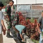 Gambar berita Fakta1