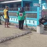 Gambar berita Fakta1