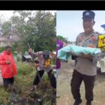 Gambar berita Fakta1
