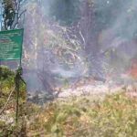 Gambar berita Fakta1