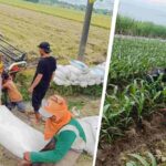 Gambar berita Fakta1