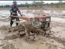 Babinsa Koramil 1002-06/Barabai Berhasil Tingkatkan Semangat Bertani di Desa Bakapas