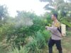 Gambar berita Fakta1