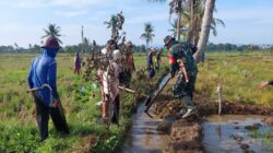 Babinsa Koramil 07/Baranti Bantu Petani Bersihkan Saluran Irigasi