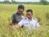 Gambar berita Fakta1