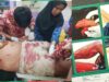 Gambar berita Fakta1
