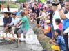 Gambar berita Fakta1
