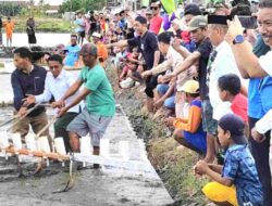 Bupati Syaharuddin Alrif Turun Sawah, Sidrap Pacu Produksi Padi Menuju 1 Juta Ton