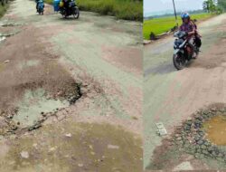 Dua Dekade Jalan Rusak, Warga Wonggeduku Geram: Kami Penyumbang Beras, Tapi Seperti Tak Dianggap