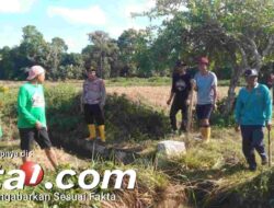 Sinergi TNI-Polri, Muspika dan Petani Kulo: Irigasi Bersih Menuju Kemandirian Pangan
