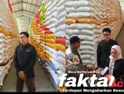Dukung Petani, Mitra GIKC dan Ketahanan Pangan, Bulog KC Unaaha Serap 33 Ribu Ton Gabah
