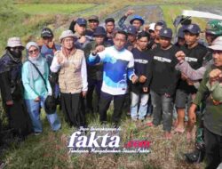 Bupati Sidrap Serahkan Benih Padi Ciherang ke Brigade Pangan