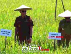 Dorong Modernisasi dan Kesejahteraan Petani, Gubernur Sultra Hadiri Panen Raya Padi di Konawe