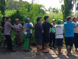 Gotong Royong Kembali Hidup, Warga Panca Lautang Kompak Bersihkan Jalan Poros Soppeng-Pangkajene