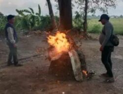 Tindak Lanjuti Laporan Warga, Polsek Krian bersama Kepala Desa Bakar Tempat Sabung Ayam
