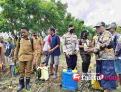 Genjot Produksi, Bupati Sidrap Bersama Forkopimda Ikut Semprot Jagung Usia 10 Hari