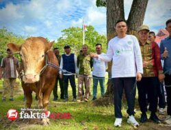 Presiden Prabowo Donasikan Sapi Qurban Jumbo untuk Warga Lambuya, Konawe