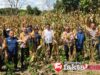 Gambar berita Fakta1