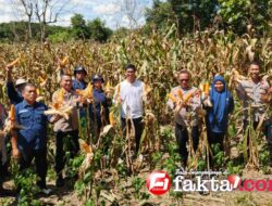 Komitmen Nyata Polres Konawe dalam Menjaga Ketahanan Pangan Nasional