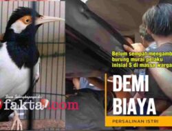 Kisah Haru, Seorang Pria Nekat Mencuri untuk Biaya Persalinan Sang Istri